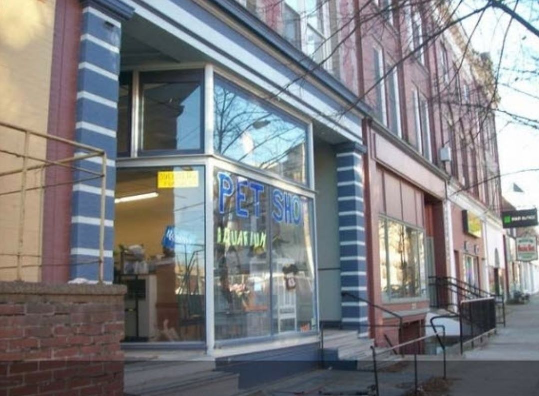 223 Pennsylvania Avenue, Warren, PA 16365